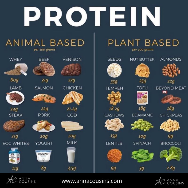 How To Get More Protein In Your Diet Annacousins